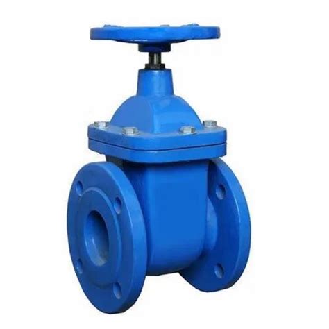 High 90mm Cast Iron Sluice Valve Flange At Rs 1400 In Pune ID