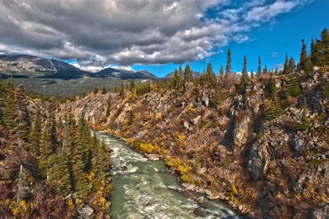 11 Exciting Skagway Shore Excursions for Alaska Cruises