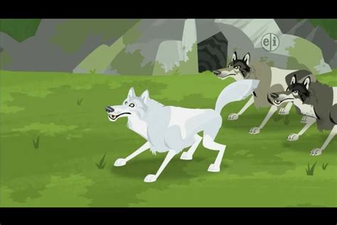 Image - Gray Wolf (Wild Kratts).PNG | The Parody Wiki | FANDOM powered ...