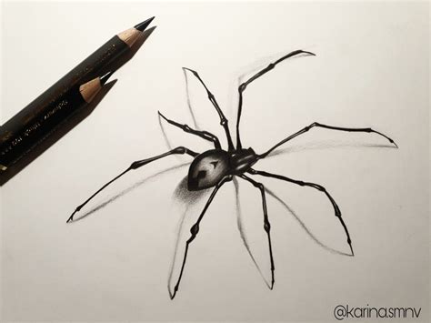 Spider Drawing, Drawings, Pictures, Art, Photos, Sketches, Drawing, Portrait, Draw