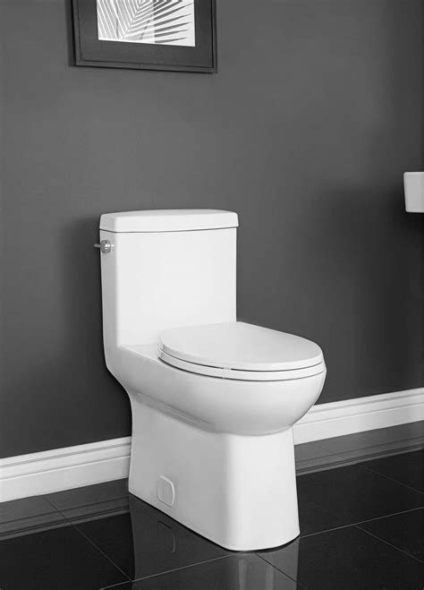Wilton 4710BSXU One-Piece Elongated Toilet | Contrac