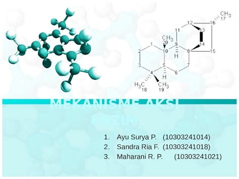 PPTX Tugas Biokimia Mekanisme Aksi Enzim DOKUMEN TIPS