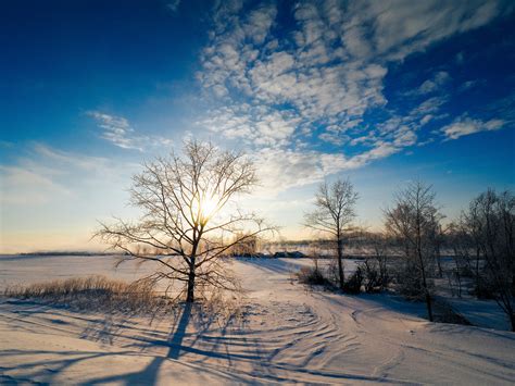 Best Sightseeing Spots To Visit In Hokkaido In The Winter Plus Great