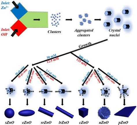 Figure From Microfluidics Enabled Rational Design Of Zno Micro