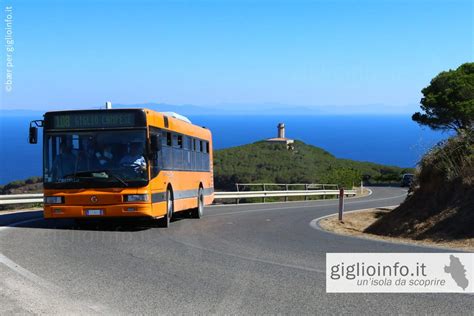 Traghetti Per Giglio Orari Tariffe E Prenotazione Traghetti Isola