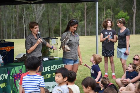 Wildlife for Events - Geckoes Wildlife