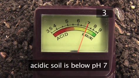 How To Test Soil Ph Back Gardener