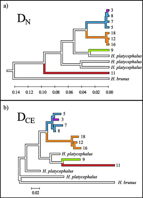 A Upgma Phylogenetic Tree Of D N B Neighborjoining Tree Of D Ce