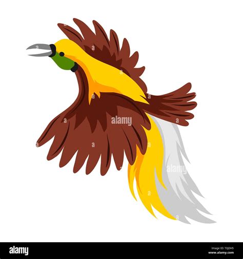 Illustration bird of paradise. Tropical exotic animal on white ...