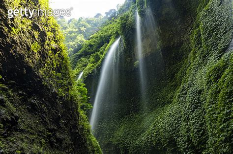 (Selective focus) Stunning view of the Madikaripura Waterfalls during a ...