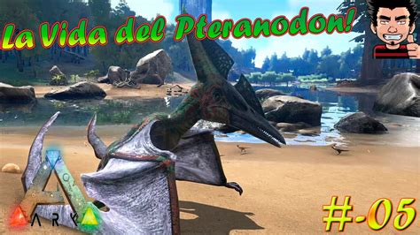 Ark Survival Evolved La Vida Del Pteranodon Kairuku Manta Play As