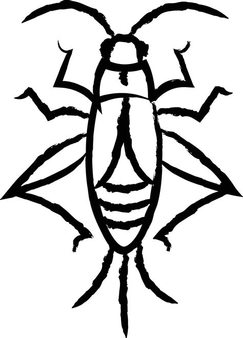 Cricket bug hand drawn vector illustration 32182654 Vector Art at Vecteezy