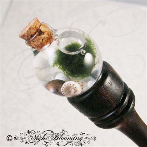 Marimo Moss Ball Aquatic Terrarium Hair Stick Etsy In Marimo