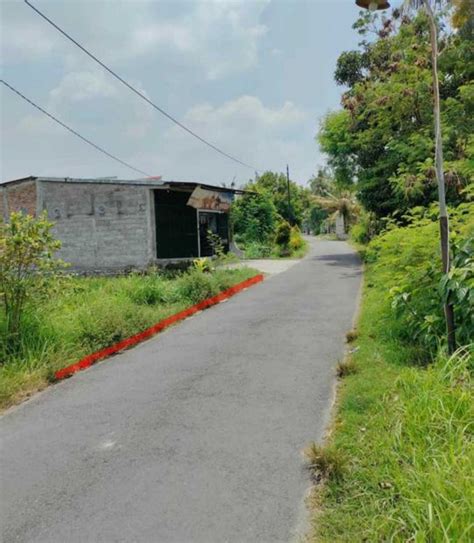 Kode TS227 Tanah Sawah View Persawahan Dan Bukit Murah Di Sewon Bantu