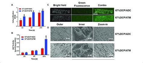 Mc3t3 E1 Cell In Vitro Evaluation Of Composite Scaffolds A The