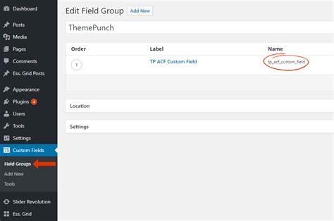 Using Advanced Custom Fields With Essential Grid Essential Grid