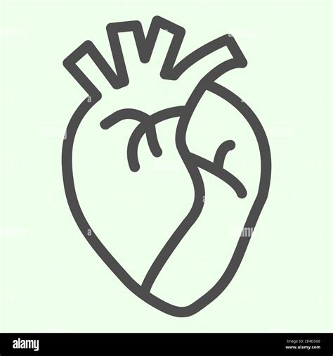 Heart Organ Line Icon Realistic Human Heart Outline Style Pictogram On