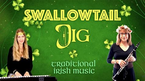 SWALLOWTAIL JIG Traditional Irish Music YouTube