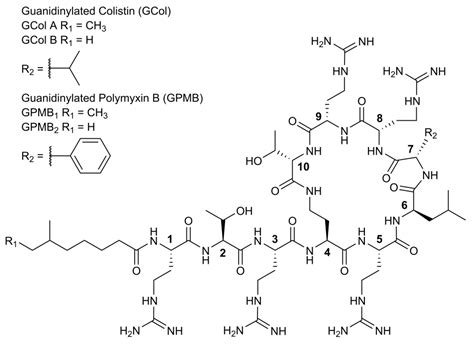 Antibiotics Free Full Text Guanidinylated Polymyxins As Outer