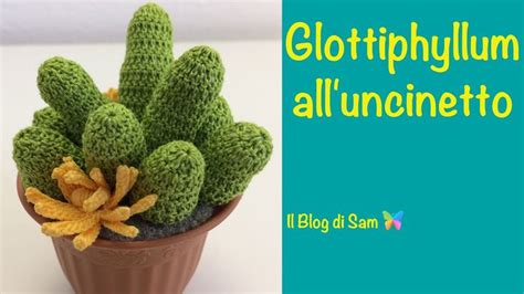 Spiegazione Del Glottiphyllum All Uncinetto In Crochet Cactus