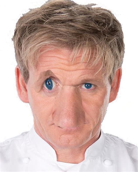 Yes It Is Gordon Ramsey And No I Did Not Finish It Transparent Gordon