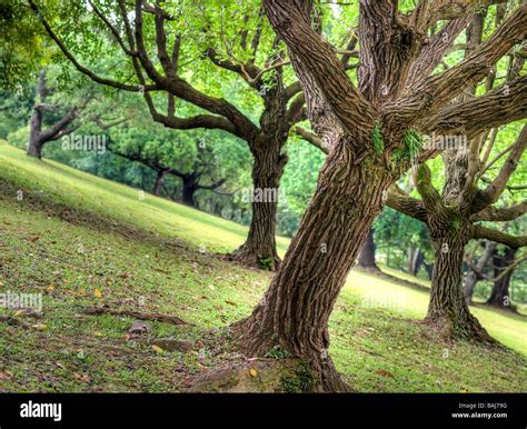 Pente Herbeuse Raide Banque De Photographies Et Dimages Haute