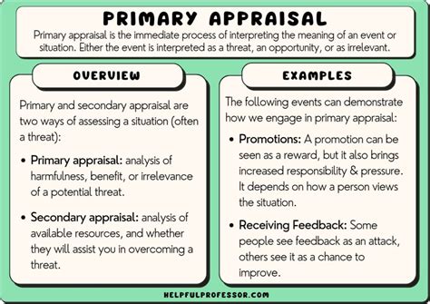 Primary Appraisal Examples And Definition