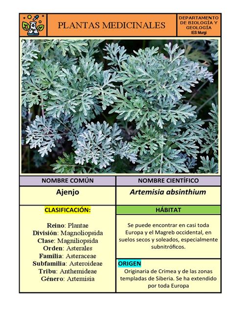 Ficha Técnica Plantas Medicinales Pdf Especialidades Medicas Medicina Clinica