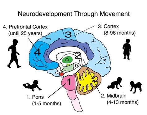 Neurodevelopment Through Movement Vianney Academy