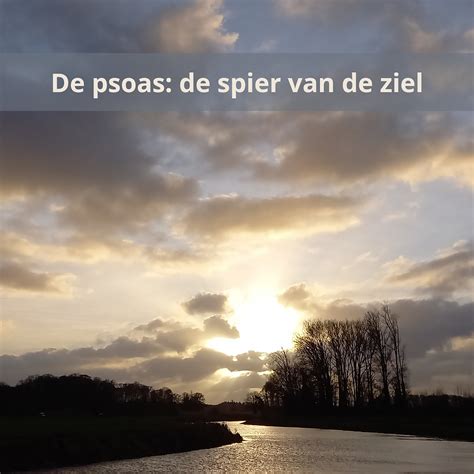 Psoas De Spier Van De Ziel