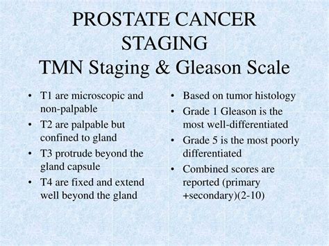 Ppt Prostate Neoplasia Powerpoint Presentation Free Download Id 63771