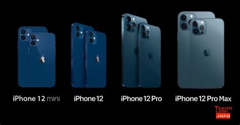 Pilih Mana Apple Iphone 12 Mini Vs 12 Vs 12 Pro Vs 12 Pro Max