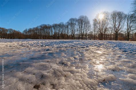 Oslo winter landscape at Vigeland Sculpture Park with snow and dry tree ...