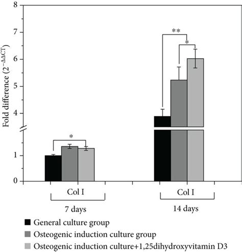 Gene Transcription Levels Of Runx A Alp B Col I C And Ocn D