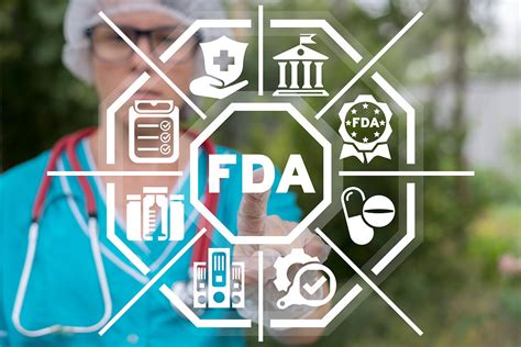 FDA Regulatory De Novo Summaries