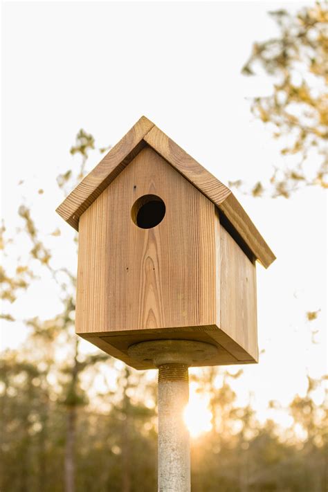 Easy DIY Birdhouse Plans Step By Step Building Directions