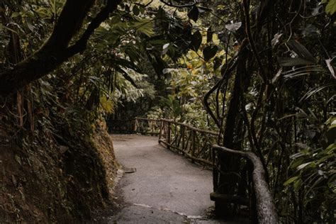 Visiting Mistico Arenal Hanging Bridges Costa Rica Ultimate Guide