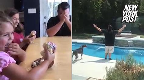 Devastated Dad Jumps In Pool Over The Sex Of His Next Kid New York Post YouTube
