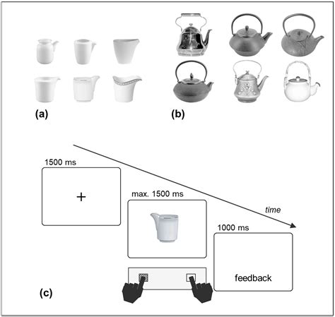 Knowledge over Time of Action Codes for Perceived Objects: An