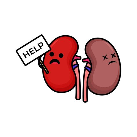 Cute kidney mascot 4530655 Vector Art at Vecteezy