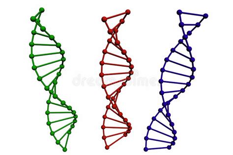 3d Model Of Dna Structure Picture Image 8351769