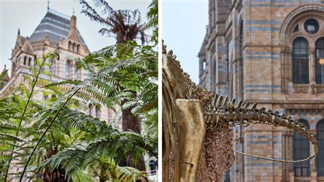 Natural History Museum's 'Dinosaur Garden' | Londonist