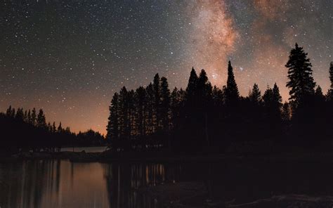 Lake Sky Stars Night Water Trees Forest HD Wallpaper Rare Gallery