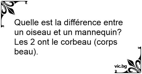 Quelle est la différence entre un oiseau et un mannequin Les 2 ont le