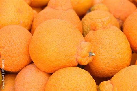 Super Sweet Sumo Mandarin Oranges A Cross Breed Between A Satsuma And