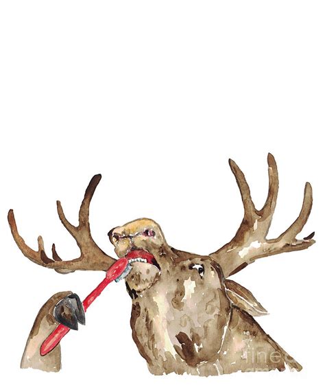 Moose Brushing Teeth Bath Watercolor Painting By Maryna Salagub Fine