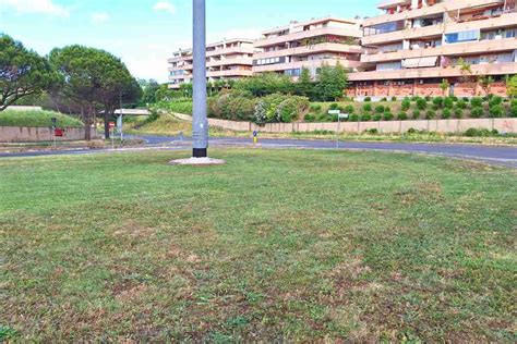 Giardino Di Roma Completato Lo Sfalcio Delle Aree In Adozione