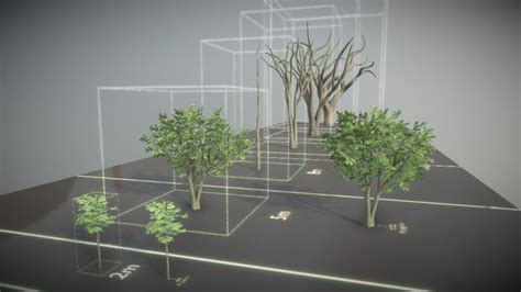 Tree-animation 3D models - Sketchfab