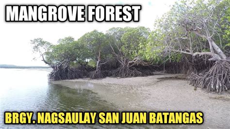 Fishing Adventure Ep I Mangrove Forest I Brgy Nagsaulay San Juan