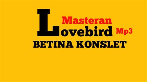 Masteran Lovebird Betina Konslet Youtube